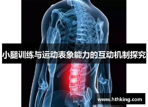 小腿训练与运动表象能力的互动机制探究